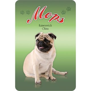 Schild "Mops - Kaiserreich China" 20 x 30 cm Blechschild