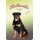Schild "Rottweiler - Deutschland 1850" 20 x 30 cm Blechschild