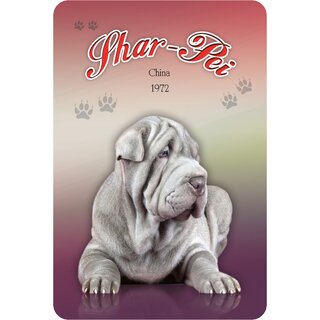 Schild "Shar-Pei - China 1972" 20 x 30 cm Blechschild