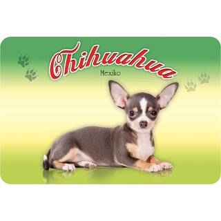 Schild Chihuahua - Mexiko 20 x 30 cm Blechschild