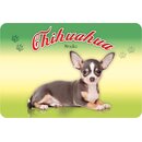 Schild "Chihuahua - Mexiko" 20 x 30 cm Blechschild