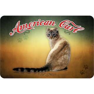 Schild "American Curl - Katze" 20 x 30 cm Blechschild
