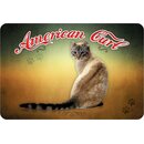 Schild "American Curl - Katze" 20 x 30 cm...
