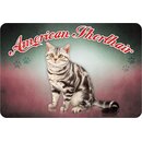 Schild "American Shorthair - Katze" 20 x 30 cm...
