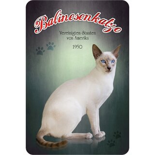 Schild "Balinesenkatze - Amerika 1950" 20 x 30 cm Blechschild