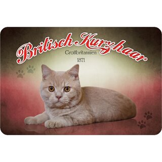 Schild "Britisch Kurzhaar- Großbritanien 1871" 20 x 30 cm Blechschild