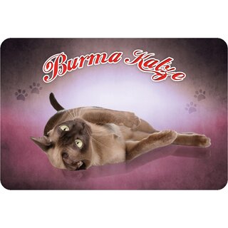 Schild "Burma Katze - 1925" 20 x 30 cm Blechschild
