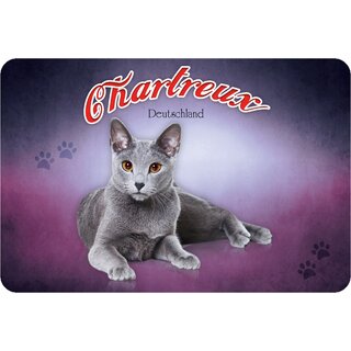 Schild "Chartreux  Katze - Deutschland 1925" 20 x 30 cm Blechschild