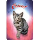Schild "Ocicat - Katze" 20 x 30 cm Blechschild