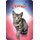 Schild "Ocicat - Katze" 20 x 30 cm Blechschild