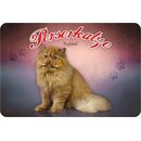 Schild "Perserkatze - England" 20 x 30 cm...