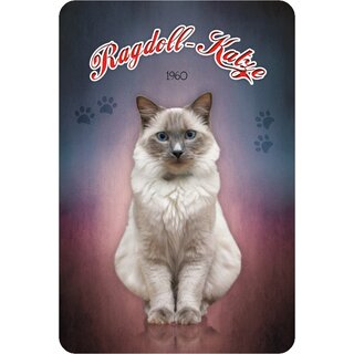 Schild "Ragdoll - Katze - 1960" 20 x 30 cm Blechschild