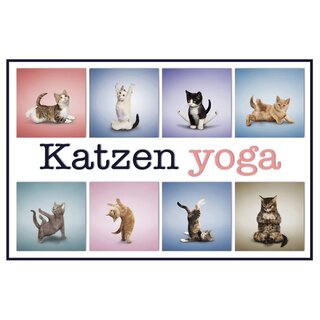 Schild "Katzenyoga - Rahmen" 20 x 30 cm Blechschild
