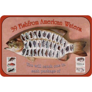 Schild 39 Fish from American Waters - Fischarten Amerika 20 x 30 cm Blechschild