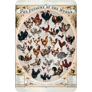 Schild "Poultry of the World - Geflügel der Welt" 20 x 30 cm Blechschild