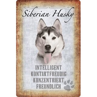 Schild Spruch "Sibirian Husky, intelligent konzentriert" Hund 20 x 30 cm Blechschild