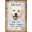 Schild Spruch "Labrador, intelligent ausgeglichen...