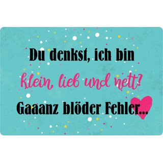 Schild Spruch "denkst, bin klein nett, ganz blöder Fehler" 20 x 30 cm Blechschild