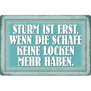 Schild Spruch "Sturm erst, wenn Schafe keine Locken mehr" 20 x 30 cm Blechschild
