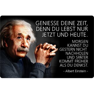 Schild Spruch "Geniesse Zeit, lebst nur heute, Albert Einstein" 20 x 30 cm Blechschild