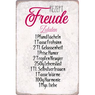 Schild Spruch "Rezept Freude Zutaten" 20 x 30 cm Blechschild