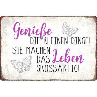 Schild Spruch "Genieße kleinen Dinge, machen Leben großartig - Schmetterlinge" 20 x 30 cm Blechschild