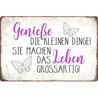 Schild Spruch "Genieße kleinen Dinge, machen Leben großartig - Schmetterlinge" 20 x 30 cm Blechschild