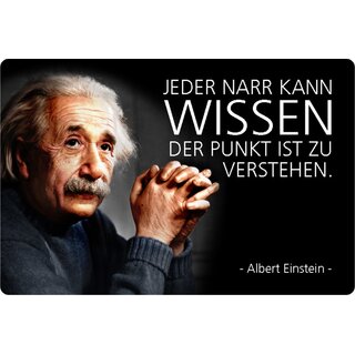 Schild Spruch "Jeder Narr wissen, Punkt zu verstehen, Einstein" 20 x 30 cm Blechschild
