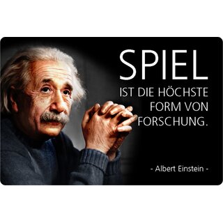 Schild Spruch "Spiel ist höchste Form von Forschung, Einstein" 20 x 30 cm Blechschild