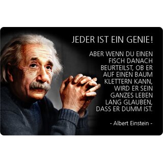 Schild Spruch "Jeder Genie, Fisch klettern, dumm, Einstein" 20 x 30 cm Blechschild