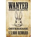 Schild Spruch "Wanted dead or alive Osterhase...
