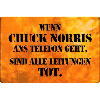 Schild Spruch "Wenn Chuck Norris ans Telefon, Leitungen tot" 20 x 30 cm Blechschild