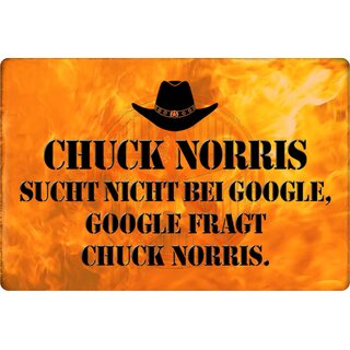 Schild Spruch "Chuck Norris sucht nicht bei Google, fragt" 20 x 30 cm Blechschild