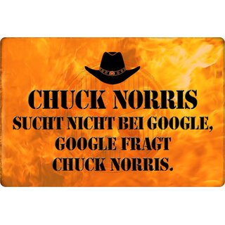 Schild Spruch "Chuck Norris sucht nicht bei Google, fragt" 20 x 30 cm Blechschild