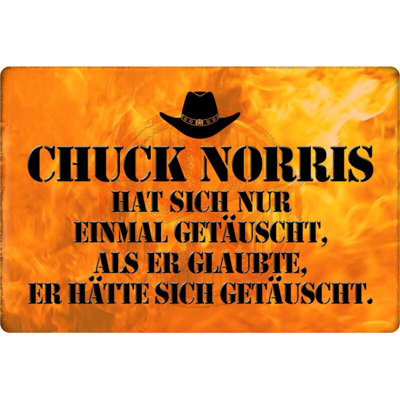 Chuck Norris Spruch 8 Blechschild Schild gewölbt Metal Tin Sign 20 x 30 cm 