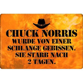 Schild Spruch "Chuck Norris wurde von Schlange gebissen" 20 x 30 cm Blechschild