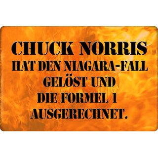 Schild Spruch "Chuck Norris Niagara-Fall gelöst, Formel 1" 20 x 30 cm Blechschild
