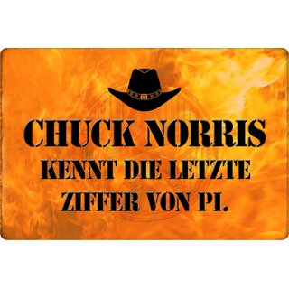 Schild Spruch "Chuck Norris kennt letzte Ziffer von Pi" 20 x 30 cm Blechschild
