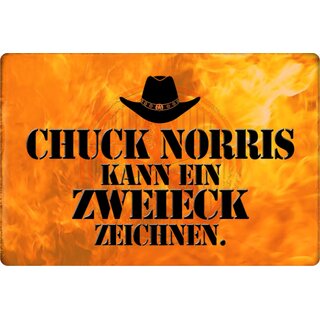 Schild Spruch "Chuck Norris kann ein Zweieck zeichen" 20 x 30 cm Blechschild