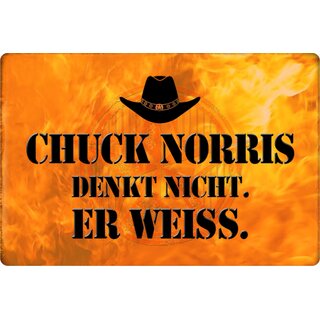 Schild Spruch "Chuck Norris denkt nicht, er weiß" 20 x 30 cm Blechschild