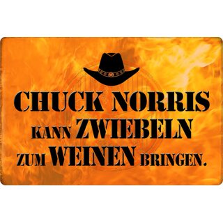 Schild Spruch "Chuck Norris kann Zwiebeln Weinen bringen" 20 x 30 cm Blechschild