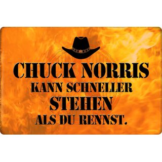 Schild Spruch "Chuck Norris kann schneller stehen, als rennst" 20 x 30 cm Blechschild