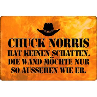 Schild Spruch "Chuck Norris keinen Schatten, Wand aussehen" 20 x 30 cm Blechschild