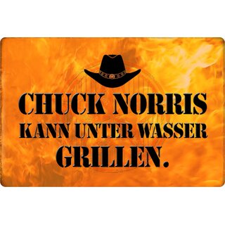 Schild Spruch "Chuck Norris kann unter Wasser grillen" 20 x 30 cm Blechschild