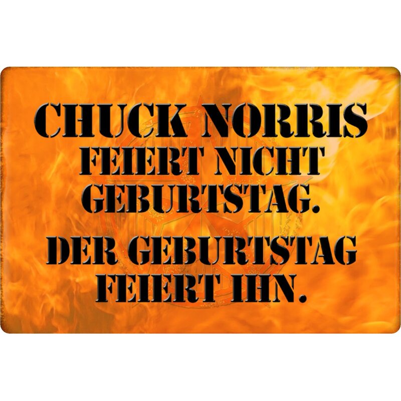Schild Spruch "Chuck Norris feiert nicht Geburtstag, feiert ihn" 20 x