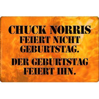 Schild Spruch "Chuck Norris feiert nicht Geburtstag, feiert ihn" 20 x 30 cm Blechschild