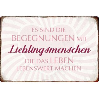 Schild Spruch "Begegnungen Lieblingsmenschen, lebenswert" 20 x 30 cm Blechschild