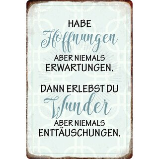 Schild Spruch "habe Hoffnung, niemals Erwartungen, Wunder" 20 x 30 cm Blechschild