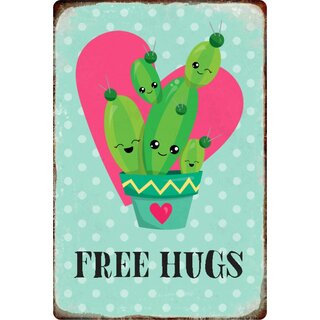 Schild Spruch "Free Hugs" Kaktus Pflanze Herz Blume 20 x 30 cm Blechschild