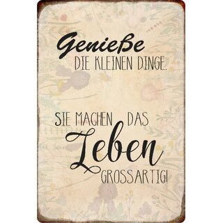 Schild Spruch "Genieße kleinen Dinge, machen Leben großartig" 20 x 30 cm Blechschild